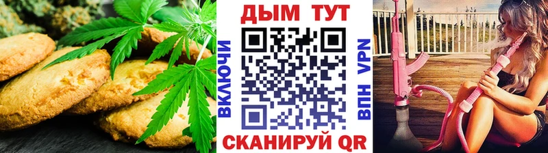 закладки  Грайворон  Cannafood конопля 