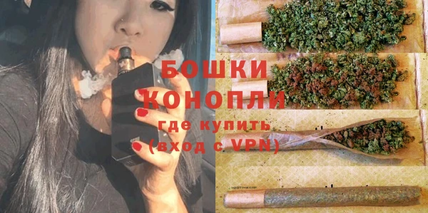 трава Наволоки