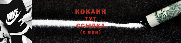 трава Наволоки