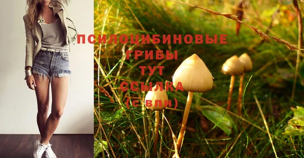 трава Наволоки