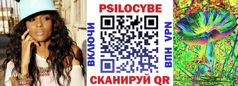 kraken tor  Грайворон  Галлюциногенные грибы прущие грибы 